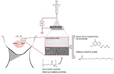 Polymeric Electrospun Fibrous Dressings for Topical Co-delivery of Acyclovir and Omega-3 Fatty Acids